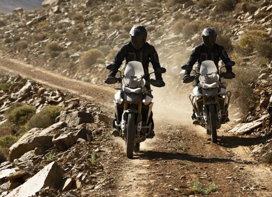 NOUVEAU TIGER 900