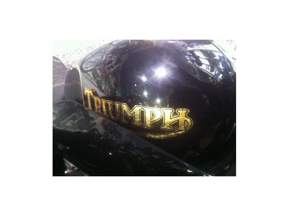 THRUXTON CAFE RACER
